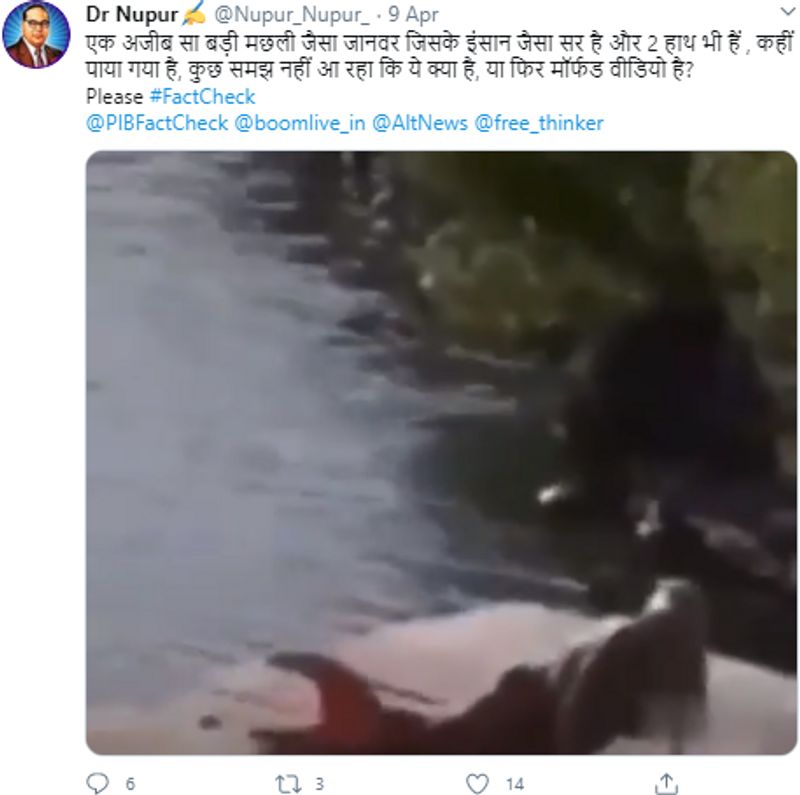 वायरल पोस्ट क्या है? डॉ नुपूर ने ट्विटर पर ये वीडियो शेयर करते हुए लिखा, "एक अजीब सा बड़ी मछली जैसा जानवर जिसके इंसान जैसा सर है और 2 हाथ भी हैं, कहीं पाया गया है, कुछ समझ नहीं आ रहा कि ये क्या है?