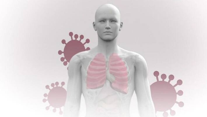 Research: Corona virus destroys the body from inside, know How corona virus attacks MJA Research: Corona virus destroys the body from inside, know How corona virus attacks MJA