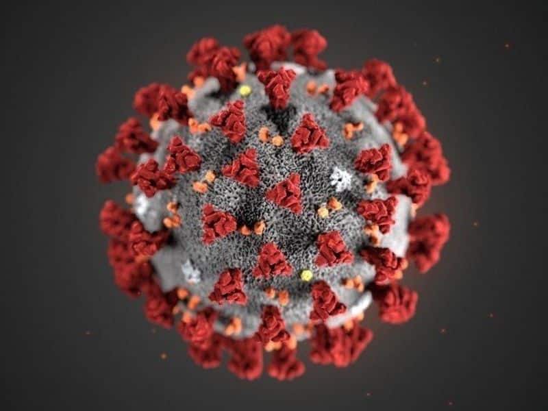 Coronavirus 6 Indian companies racing clock to find COVID-19 vaccine