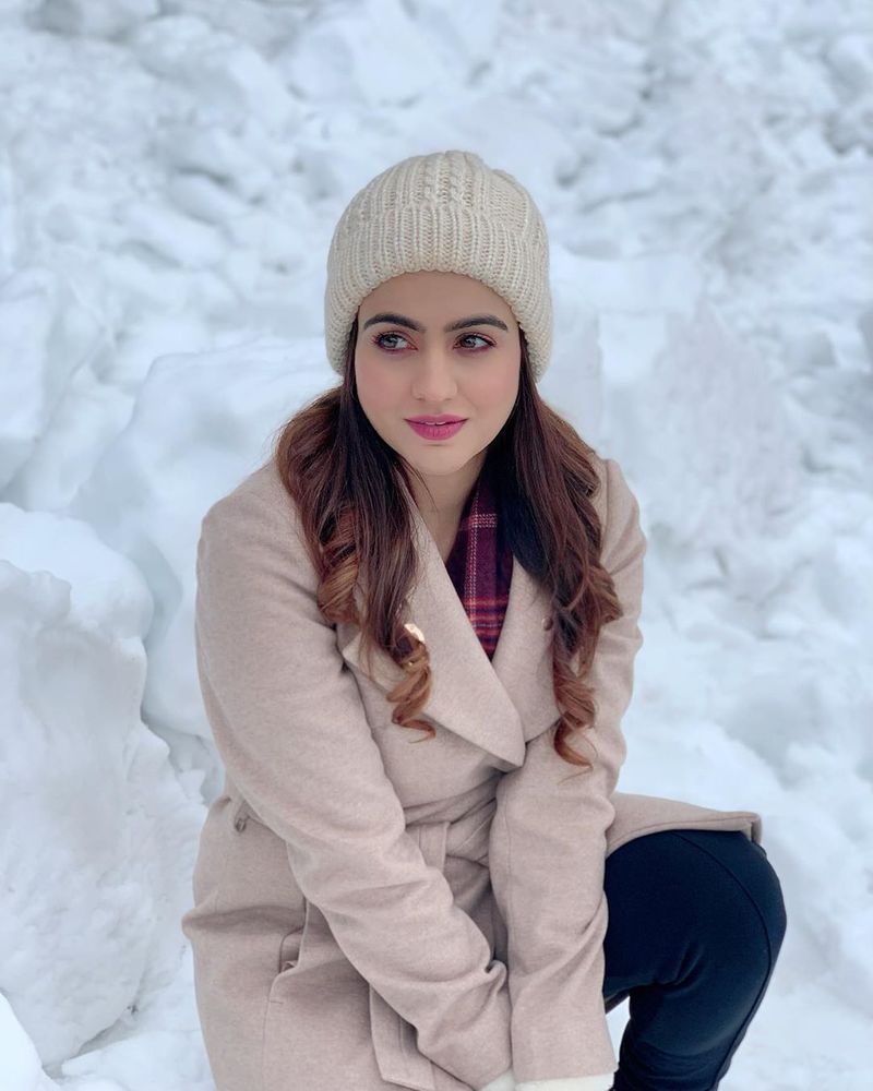 Akshapardasany