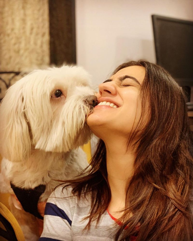 Akshapardasany
