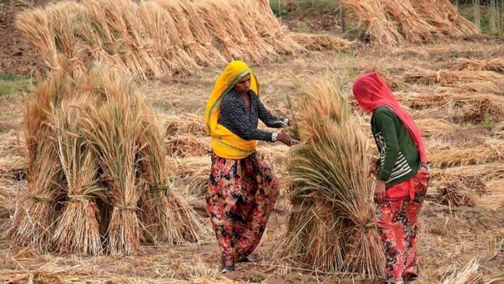 big relief to farmers in coronavirus lockdown new guidelines KPP big relief to farmers in coronavirus lockdown new guidelines KPP