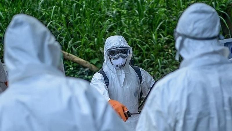 पैराग्वे के ग्रामीण इलाकों में भी कोरोना से बचाव के लिए डिसइन्फेक्शन का काम किया जा रहा है।
