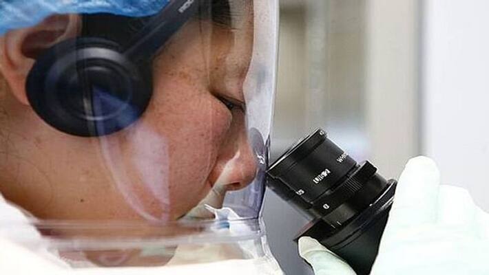 american leak shocking about china viral research lab american leak shocking about china viral research lab
