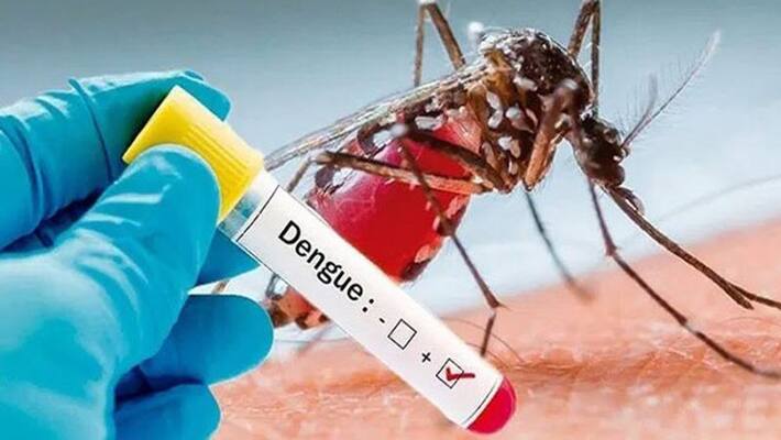 Dengue fever in pathanamthitta Dengue fever in pathanamthitta