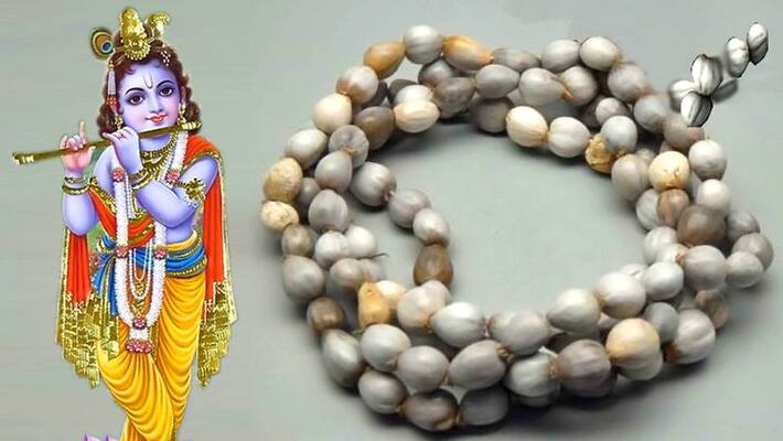 Vaijayanti Mala is dear to Lord Krishna, know the rules to worship him KPI Vaijayanti Mala is dear to Lord Krishna, know the rules to worship him KPI