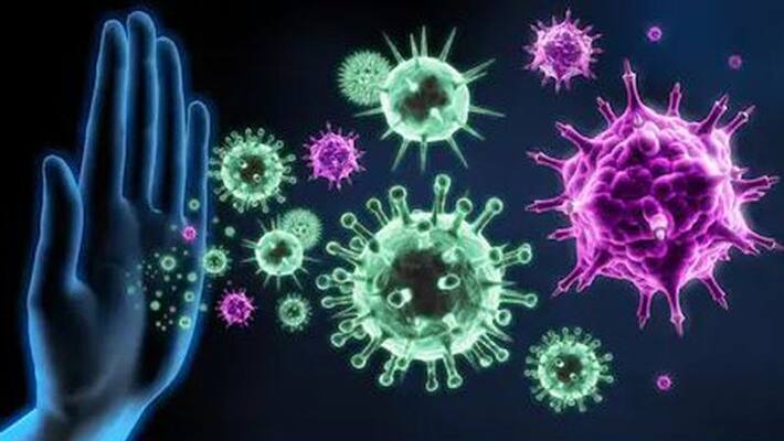 these six things can increase your immunity these six things can increase your immunity