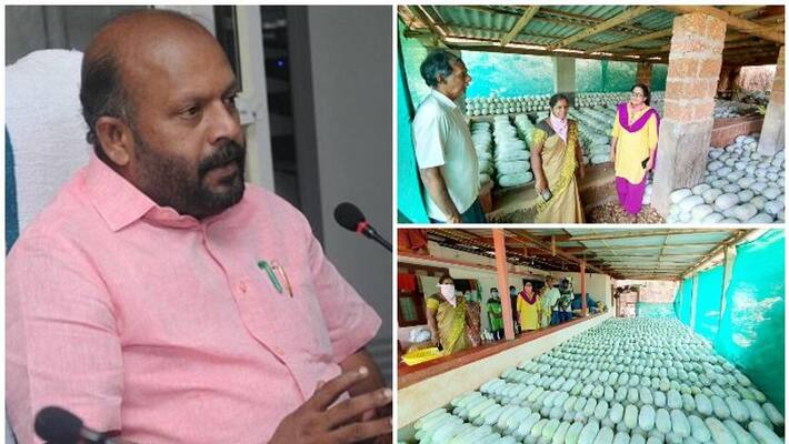 agriculture minister V S Sunilkumar helps ash gourd farmer from kasargod agriculture minister V S Sunilkumar helps ash gourd farmer from kasargod