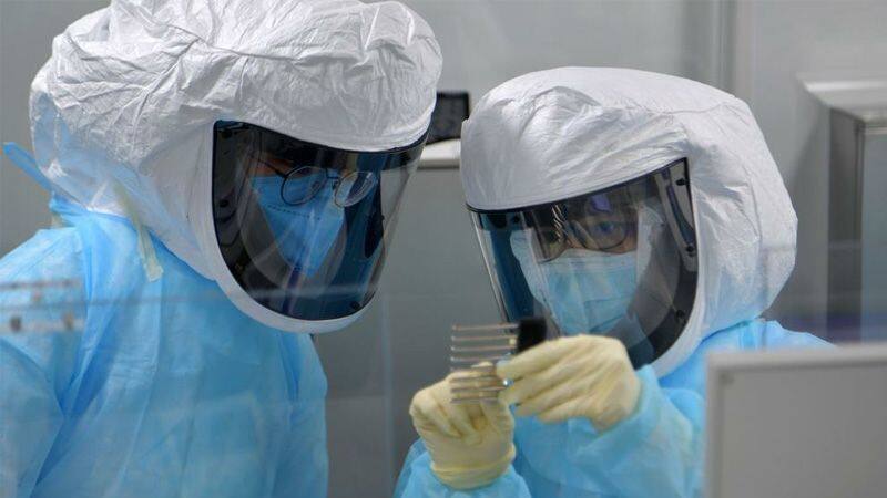 american media stirs allegations of leakage from Wuhan Biosafety lab through intern, China in focus again