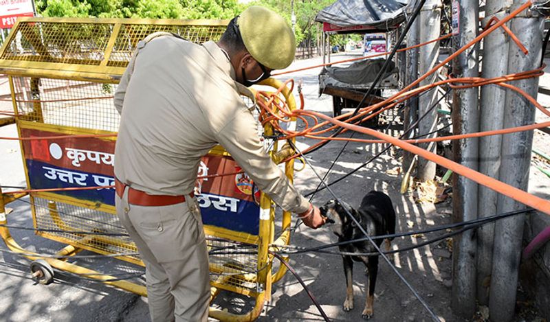पुलिसवाले सिर्फ लोगों को ही खाना नहीं खिला रहे, जानवरों का भी ख्याल रख रहे हैं।