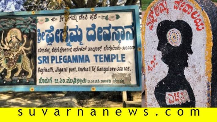 Karnataka people are offering Pooja to Karonamma as Plagamma and Sidubamma Karnataka people are offering Pooja to Karonamma as Plagamma and Sidubamma