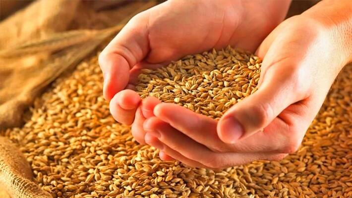 know the remedies of varuthini ekadashi KPI know the remedies of varuthini ekadashi KPI