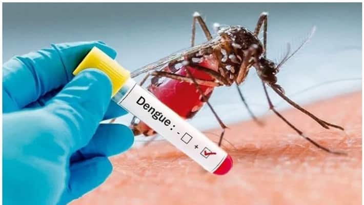 India Home to one of the most dangerous insects that currently plague the country India Home to one of the most dangerous insects that currently plague the country