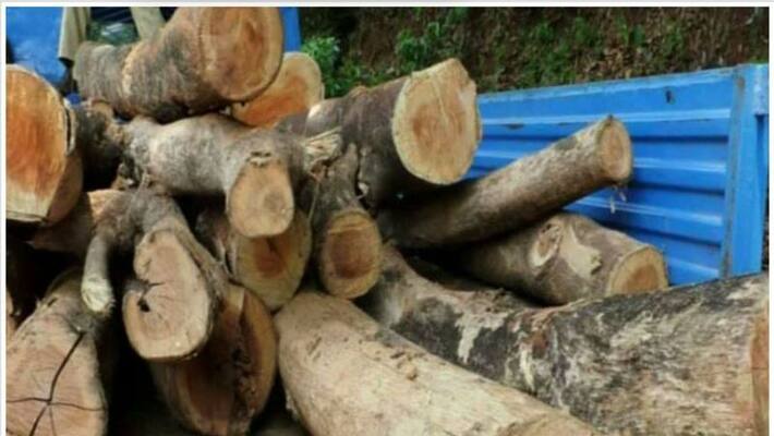 Karnataka Was taken away tree in kerala border Karnataka Was taken away tree in kerala border