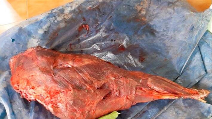 Deer meat was seized from Kozhikode peruvannamuzhi Deer meat was seized from Kozhikode peruvannamuzhi