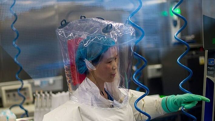 China Bat Woman Warns Coronavirus Is Just Tip Of The Iceberg China Bat Woman Warns Coronavirus Is Just Tip Of The Iceberg