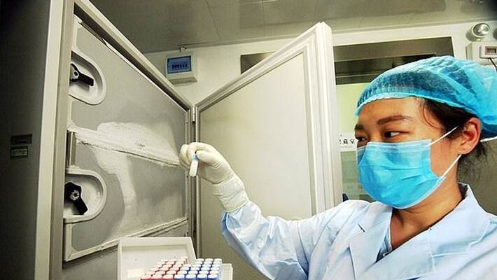 kottayam thalappadi covid test lab is in crisis kottayam thalappadi covid test lab is in crisis