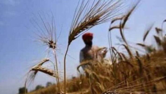 farmer donate life savings of 50 lakh to feed poor families farmer donate life savings of 50 lakh to feed poor families