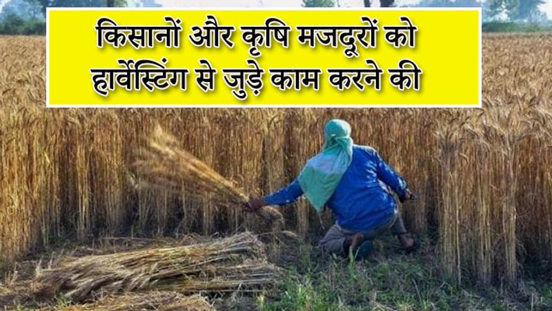 कटाई के सीजन को देखते हुए सरकार ने किसानों को छूट दी है। किसान फसलों की कटाई कर सकेंगे। साथ ही खेती से जुड़े कार्य भी कर सकेंगे। गौरतलब है कि सरकार ने ग्रीन जोन एरिया में ही यह छूट दी है। 