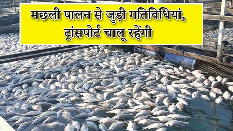 मछली पालन का भी काम किया जाएगा। 3 मई तक जारी लॉकडाउन के दौरान इस पर कोई रोक नहीं रहेगी। 20 अप्रैल से यह काम चालू हो जाएगा। हालांकि इस दौरान सरकार ने सभी से सोशल डिस्टेंसिंग और फेस कवर करने की हिदायत दी है। 
