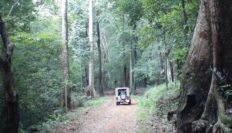 <p>এখান থেকে ৪ কিলোমিটারের মধ্যে রাঁচি-পটনা রোডের সামনেই রয়েছে পিকনিক স্পট। এখানে দেখা যায় উষ্ণপ্রস্রবণ, সুরজ কুণ্ড। এছাড়াও রয়েছে ভদ্রকালী মন্দির। এই অঞ্চলের মধ্যে সব থেকে বেশি যা নজর কাড়ে তা হল কানারি হিল। </p>