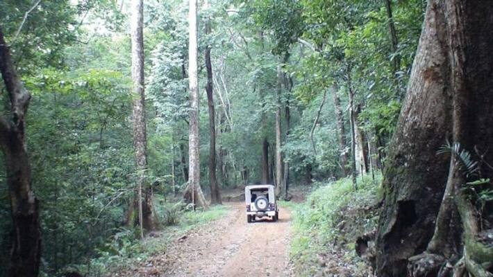 Attappadi elephant found seriously injured Attappadi elephant found seriously injured