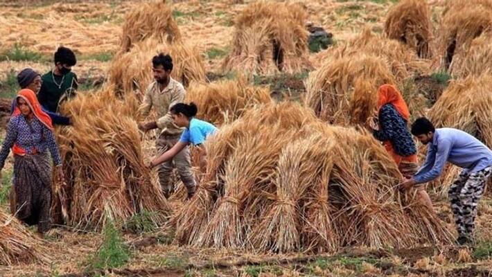 big relief to farmers in coronavirus lockdown kps big relief to farmers in coronavirus lockdown kps