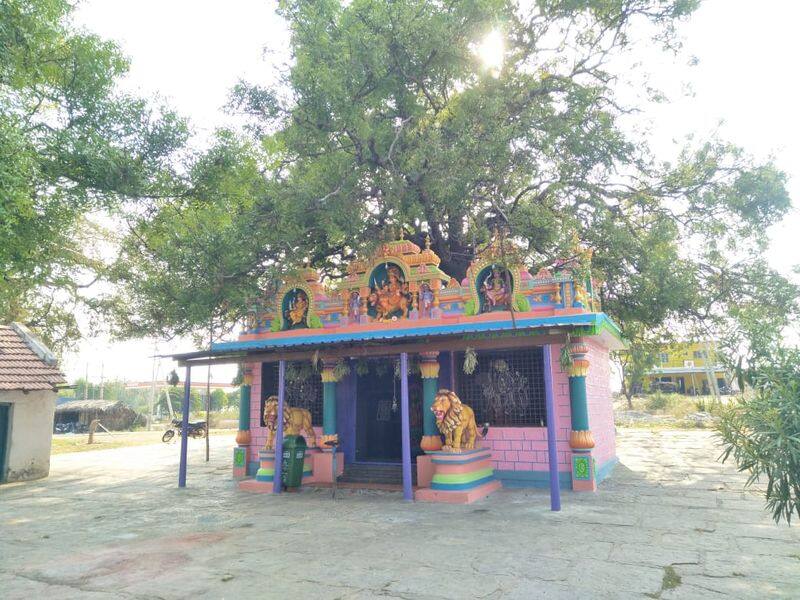 Plegamma Temple is There in Tipatur in Tumakur District