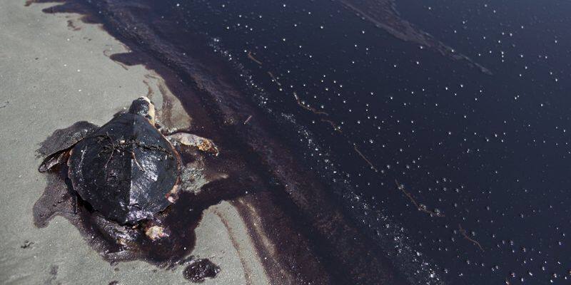 The deep water horizon Oil Spill of BP completer a decade, the pollution by spillage still on