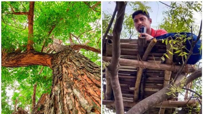 Professor climbs tree to overcome internet hurdle to take class for students during lockdown Professor climbs tree to overcome internet hurdle to take class for students during lockdown