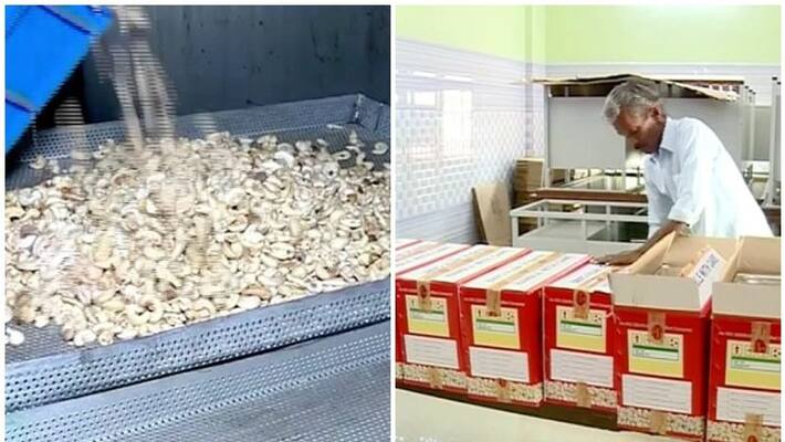 Cashew industry in crisis due lockdown Cashew industry in crisis due lockdown