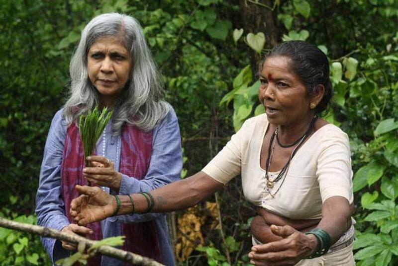 vanvadi collective  revived a 65 acre land