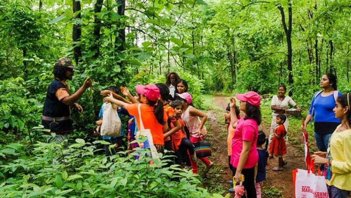 vanvadi collective revived a 65 acre land vanvadi collective revived a 65 acre land
