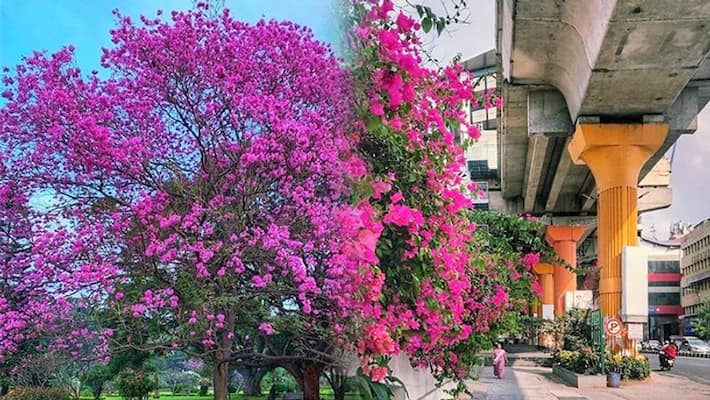 Revisioning a green Bengaluru for 2030 Revisioning a green Bengaluru for 2030