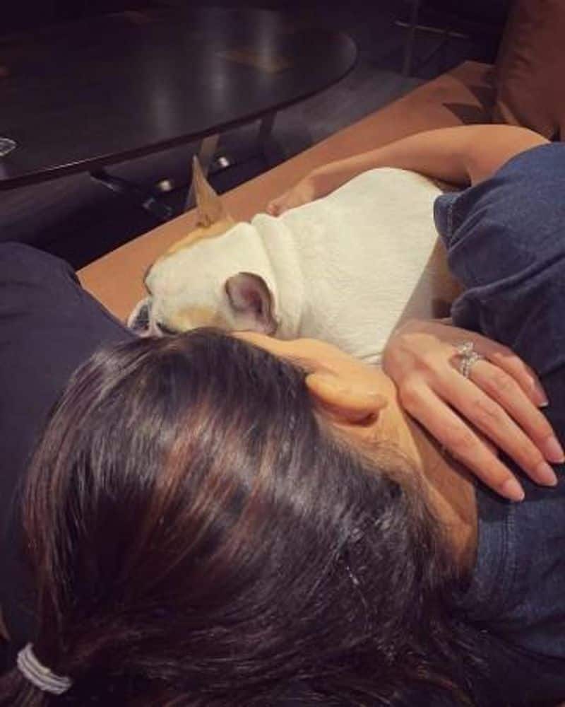 actress samantha hug with dog photo goes viral