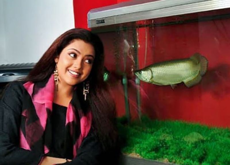 Actress Meena Latest Gallery