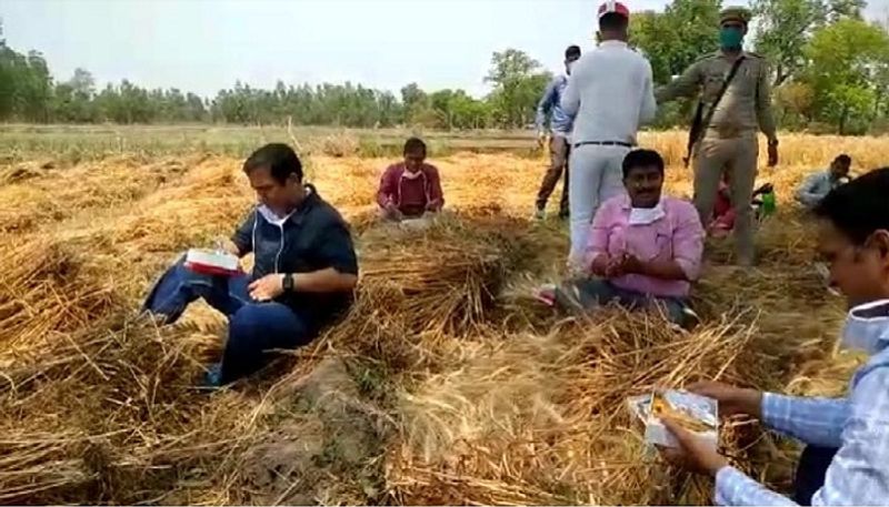 खेत में कटाई कर रहे मजदूरों से पहले तो उन्होंने बात की। उनसे कुछ जानकारी भी ली। इसके बाद उन्होंने सभी को लंच पैकेट दिए, और उन्हीं के साथ बैठकर लंच करने लगे।
