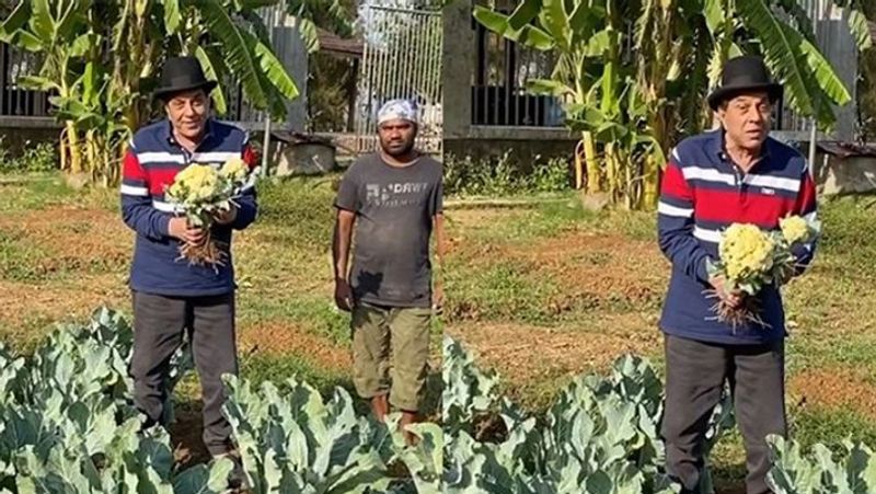 वैसे आपको बता दें कि इस उम्र में भी धर्मेंद्र सोशल मीडिया पर एक्टिव रहते हैं। वे अक्सर अपने इंस्टाग्राम पर कुछ न कुछ पोस्ट करते ही रहते हैं। फिल्मों से दूर धर्मेंद्र का ज्यादातर वक्त लोनावला के फॉर्महाउस पर गुजरता है। वे यहां ऑर्गेनिक खेती करते हैं। उनका ये फॉर्महाउस 100 एकड़ में फैला है।