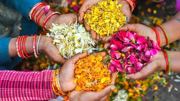 offering different flowers to different gods may fulfill your wishes, know which god likes which flower KPI offering different flowers to different gods may fulfill your wishes, know which god likes which flower KPI