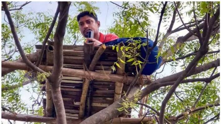 a teacher climbing on tree for teaching a teacher climbing on tree for teaching