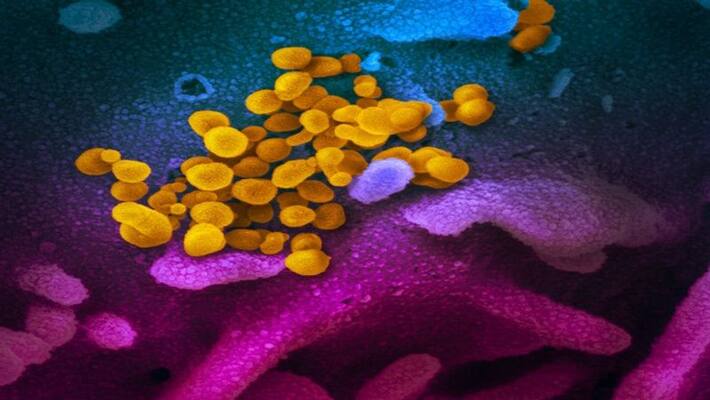 French researchers to test nicotine patches on coronavirus patients French researchers to test nicotine patches on coronavirus patients