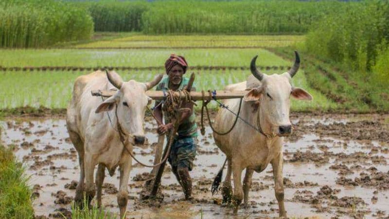 PM Kisan Mandhan Yojana How Farmers Can Get monthly pension through This Government Scheme