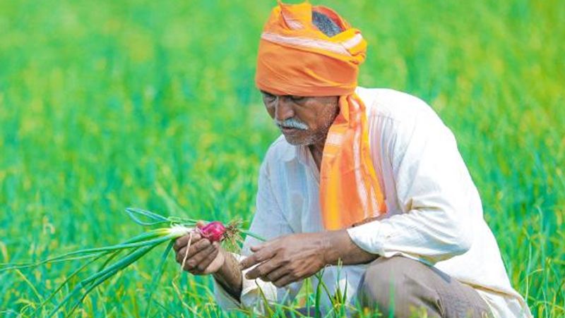 कितना कर सकते हैं निवेश
इस स्कीम के तहत किसान 55-200 रुपए तक का निवेश कर सकते हैं। यानि 18 साल की उम्र में 55 और 40 साल की उम्र में ये रकम 200 रूपए तक ही है। पहला निवेश कैश में करना जरूरी होगा। प्रोसेस पूरा होने पर किसान को एक किसान कार्ड और किसान पेंशन अकाउंट नंबर दिया जाएगा।
(प्रतीकात्मक फोटो)
