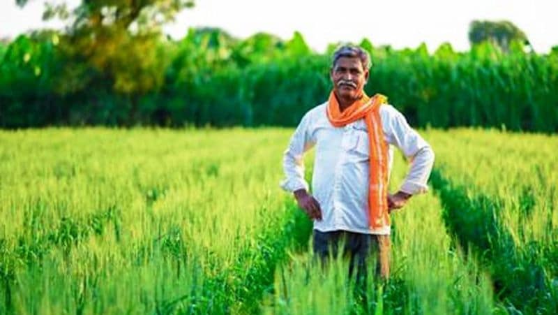 Pmky के लाभ को कर सकते हैं ट्रान्सफर
पीएम किसान योजना के तहत मिलने वाले लाभ को आप चाहें तो सीधे मानधन योजना में जमा कर सकते हैं। इस तरह किसानों को उनकी जेब से कुछ भी खर्च करने की जरूरत नहीं पड़ेगी।
(प्रतीकात्मक फोटो)
