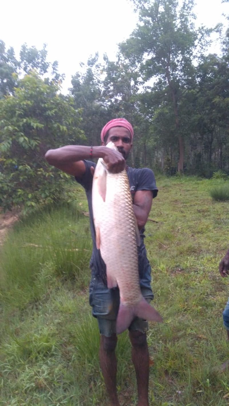 Photo gallery of lake fishing in madikeri