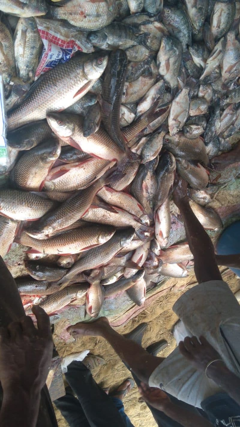 Photo gallery of lake fishing in madikeri