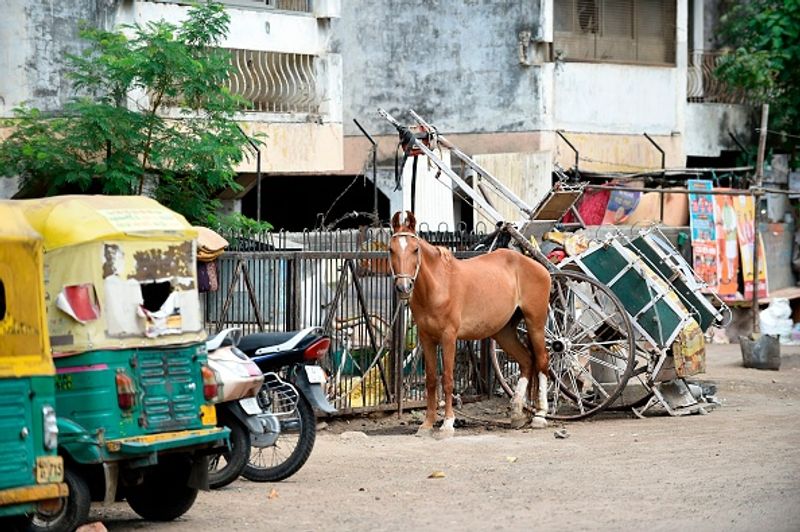 गुजरात को मिले 24,000 रैपिड टेस्टिंग किट
गुजरात को 17 अप्रैल तक भारत सरकार से 24,000 रैपिड टेस्टिंग किट मिली हैं। ये किट कंटेनमेंट जोन, हाई-रिस्क जोन में गहन परीक्षण के लिए सहायक होंगे। 