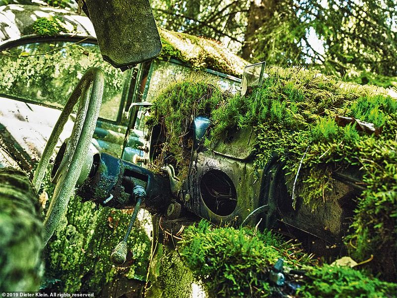 സ്വീഡനിൽ നിന്ന് എടുത്ത ഈ ചിത്രം, ഡികെഡബ്ല്യു എഫ് 89 'മാസ്റ്റർക്ലാസി'ന്റെ ഇന്റീരിയർ കാണിക്കുന്നു. പെട്രോൾ ഹെഡുകൾക്കും സസ്യശാസ്ത്രജ്ഞർക്കും ഇത് കൗതുകകരമായിരിക്കും. 1950 നും 1954 നും ഇടയിൽ പശ്ചിമ ജർമ്മനിയുടെ ഓട്ടോ യൂണിയൻ ജിഎംബിഎച്ചാണ് ഈ മോഡൽ നിർമ്മിച്ചത്. ഇതിന് 60 മൈൽ വേഗത വരെ കൈവരിക്കാൻ കഴിഞ്ഞിരുന്നു.