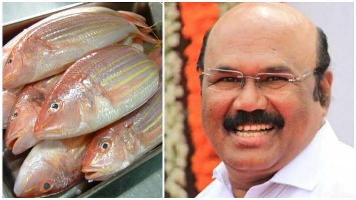fish home delivery in chennai as per online order says minister jayakumar fish home delivery in chennai as per online order says minister jayakumar