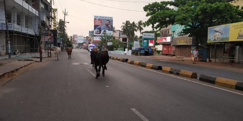 കണ്ണൂര് നഗരമടക്കം ജില്ലയില് മൊത്തം 26 ഹോട്ട് സ്പോട്ടുകളാണുള്ളത്. വൈദ്യുതി, വെള്ളം മരുന്ന് എന്നിവ ജലങ്ങള്ക്ക് ലഭ്യമാക്കും.
